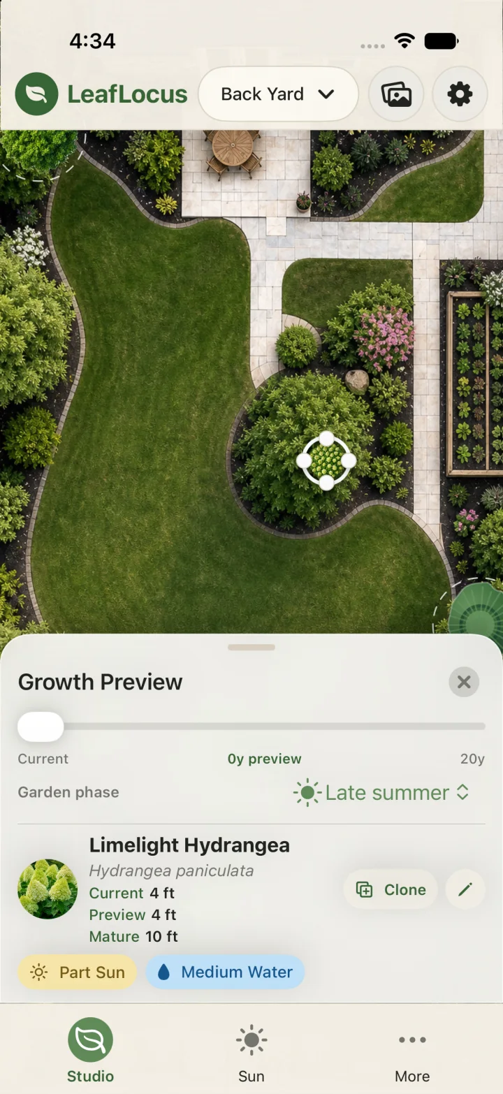 LeafLocus growth preview for a Limelight Hydrangea